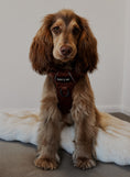 Load image into Gallery viewer, Quilted Chestnut 3-Click Neck Harness