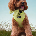 Load image into Gallery viewer, Pawssachio Green 3-Piece Set