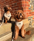 Load image into Gallery viewer, Herringbone Oat Adjustable Neck Harness