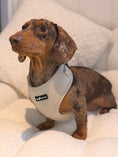 Load image into Gallery viewer, Herringbone Oat Adjustable Neck Harness