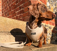 Load image into Gallery viewer, Herringbone Oat 5-Piece Set