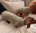 Load image into Gallery viewer, Olive Dog T-Shirt