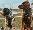 Load image into Gallery viewer, Olive Dune 3-Click Neck Harness -Big dogs only