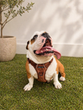 Load image into Gallery viewer, Quilted Chestnut 3-Piece Set
