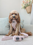 Load image into Gallery viewer, Velvet Petal Pink Lead