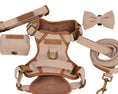 Load image into Gallery viewer, Heritage Five Piece Harness set 3-click