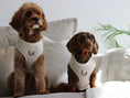 Load image into Gallery viewer, Oatmere 5-Piece Set