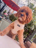 Load image into Gallery viewer, Oatmilk cord Adjustable Neck Harness