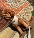 Load image into Gallery viewer, Herringbone Oat Adjustable Neck Harness