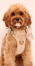 Load image into Gallery viewer, The Teddy 5-Piece Harness Set 3-Click
