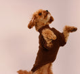 Load image into Gallery viewer, The Cosy Club Jumper
