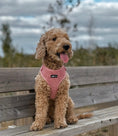 Load image into Gallery viewer, Dusty Rose Pink Adjustable Neck Harness
