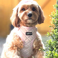 Load image into Gallery viewer, Velvet Petal Pink 5-Piece Set