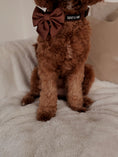 Load image into Gallery viewer, Quilted Chestnut Sailor Bow