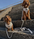 Load image into Gallery viewer, Herringbone Oat Adjustable Neck Harness