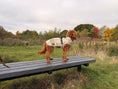 Load image into Gallery viewer, Bark Mac (Biscuit)