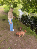 Load image into Gallery viewer, The Essential Multi Lead