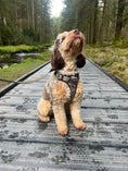 Load image into Gallery viewer, Country Classic 5-Piece Set