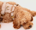 Load image into Gallery viewer, Heritage Three Piece Harness set 3-click