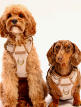 Load image into Gallery viewer, Heritage Three Piece Harness set 3-click