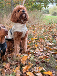Load image into Gallery viewer, Bark Mac (Biscuit)