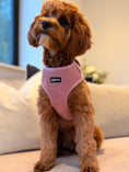 Load image into Gallery viewer, Dusty Rose Pink Adjustable Neck Harness