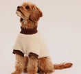 Load image into Gallery viewer, The Cosy Club Jumper