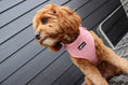 Load image into Gallery viewer, Dusty Rose Pink Adjustable Neck Harness