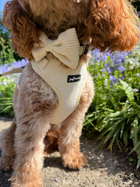 Oatmilk cord Collar