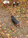 Load image into Gallery viewer, Bark Mac (Black)
