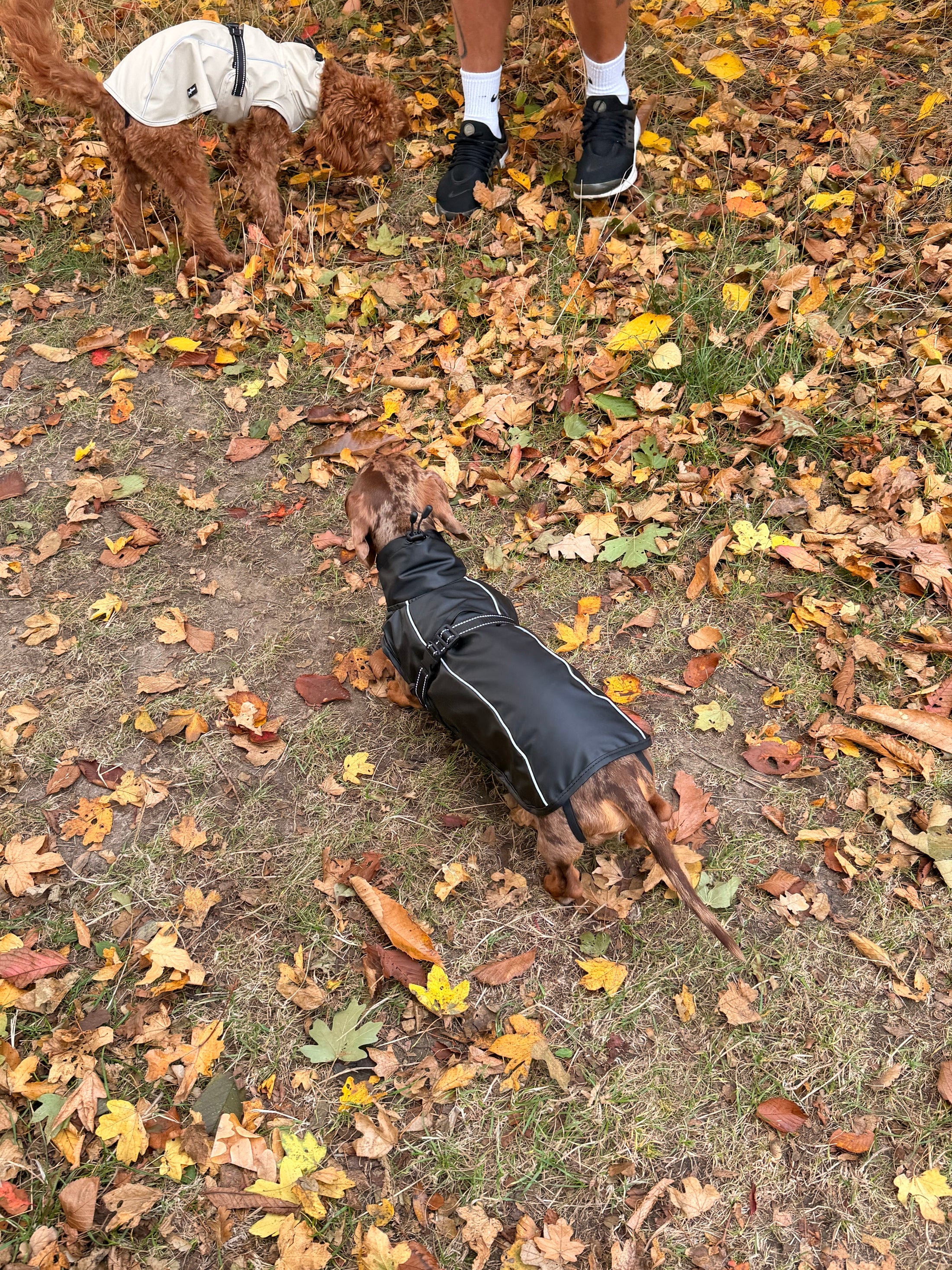 Bark Mac (Black)
