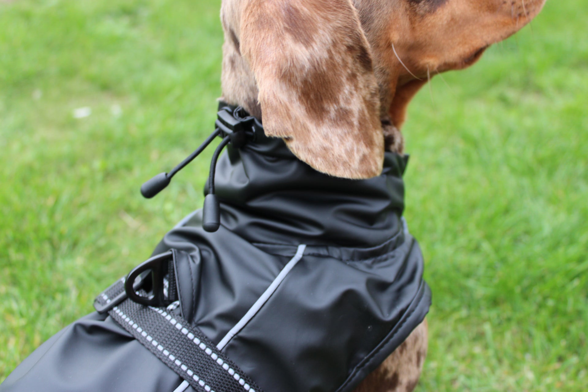Bark Mac (Black)