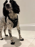Load image into Gallery viewer, Bark in Black 3-Piece Set -Big dogs only

