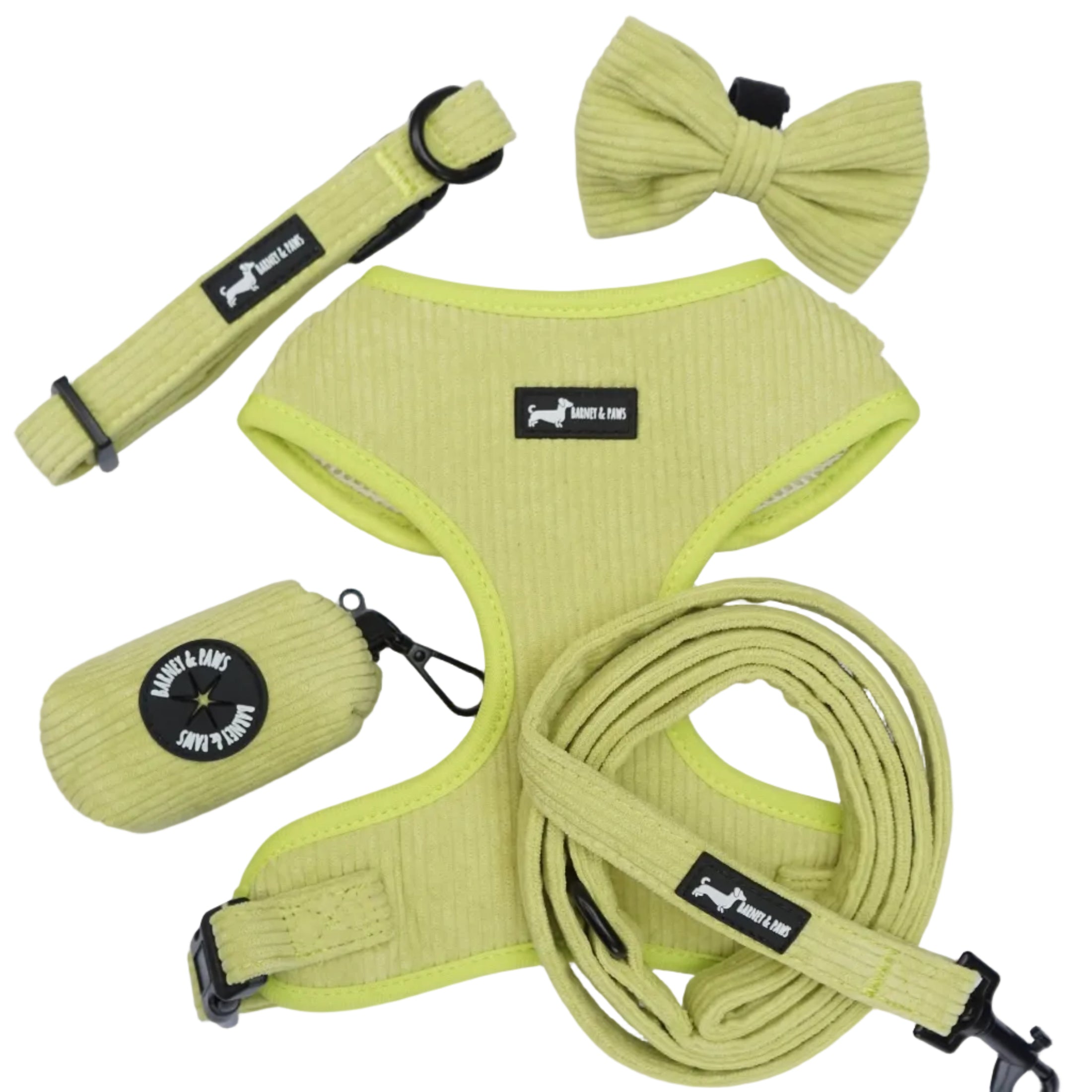 Pawssachio Green 5-Piece Set