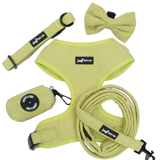 Pawssachio Green 5-Piece Set