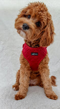 Load image into Gallery viewer, Red Strawberry Plush 5-Piece Set
