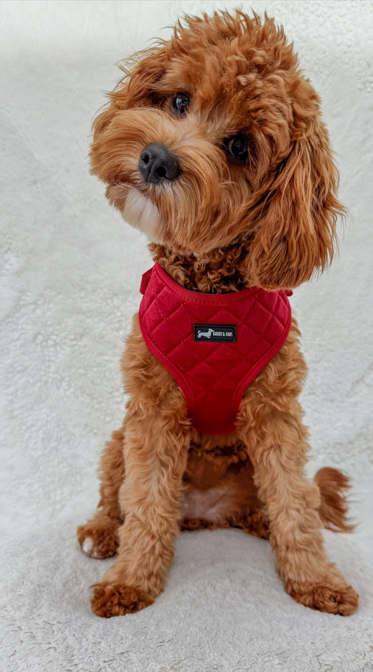 Red Strawberry Plush 3-Piece Set