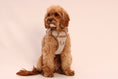Load image into Gallery viewer, Heritage Three Piece Harness set 3-click
