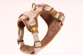 Load image into Gallery viewer, Heritage Three Piece Harness set 3-click
