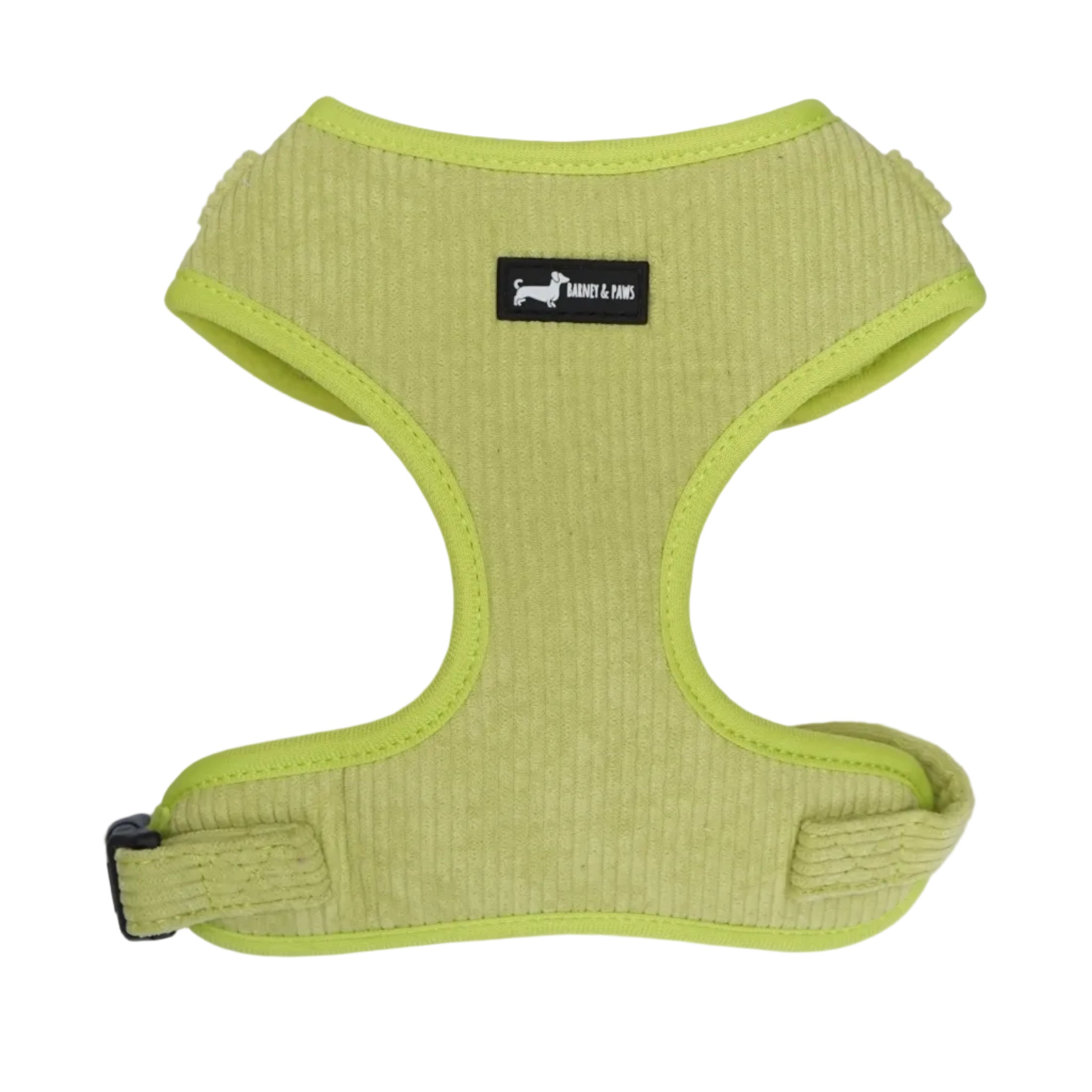 Pawssachio Green 3-Piece Set