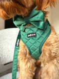 Load image into Gallery viewer, Green Velvet Forest Adjustable Neck Harness
