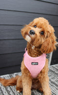 Load image into Gallery viewer, Dusty Rose 3-Piece Set

