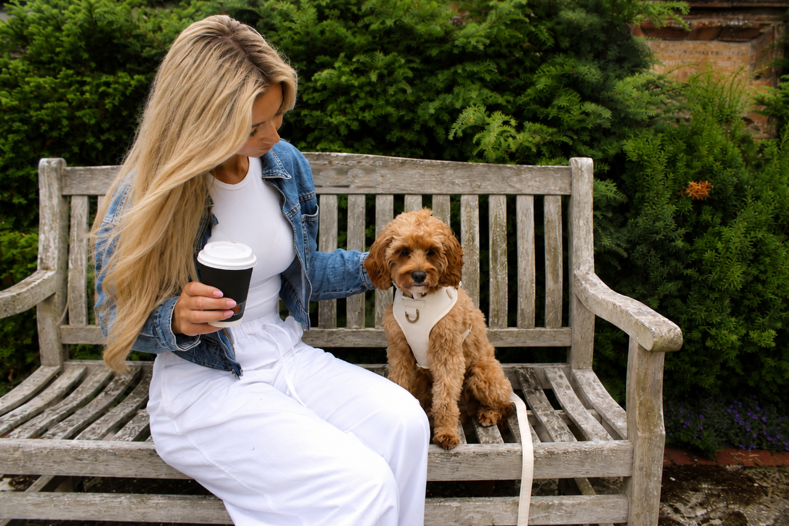 Oatmere Adjustable Neck Harness