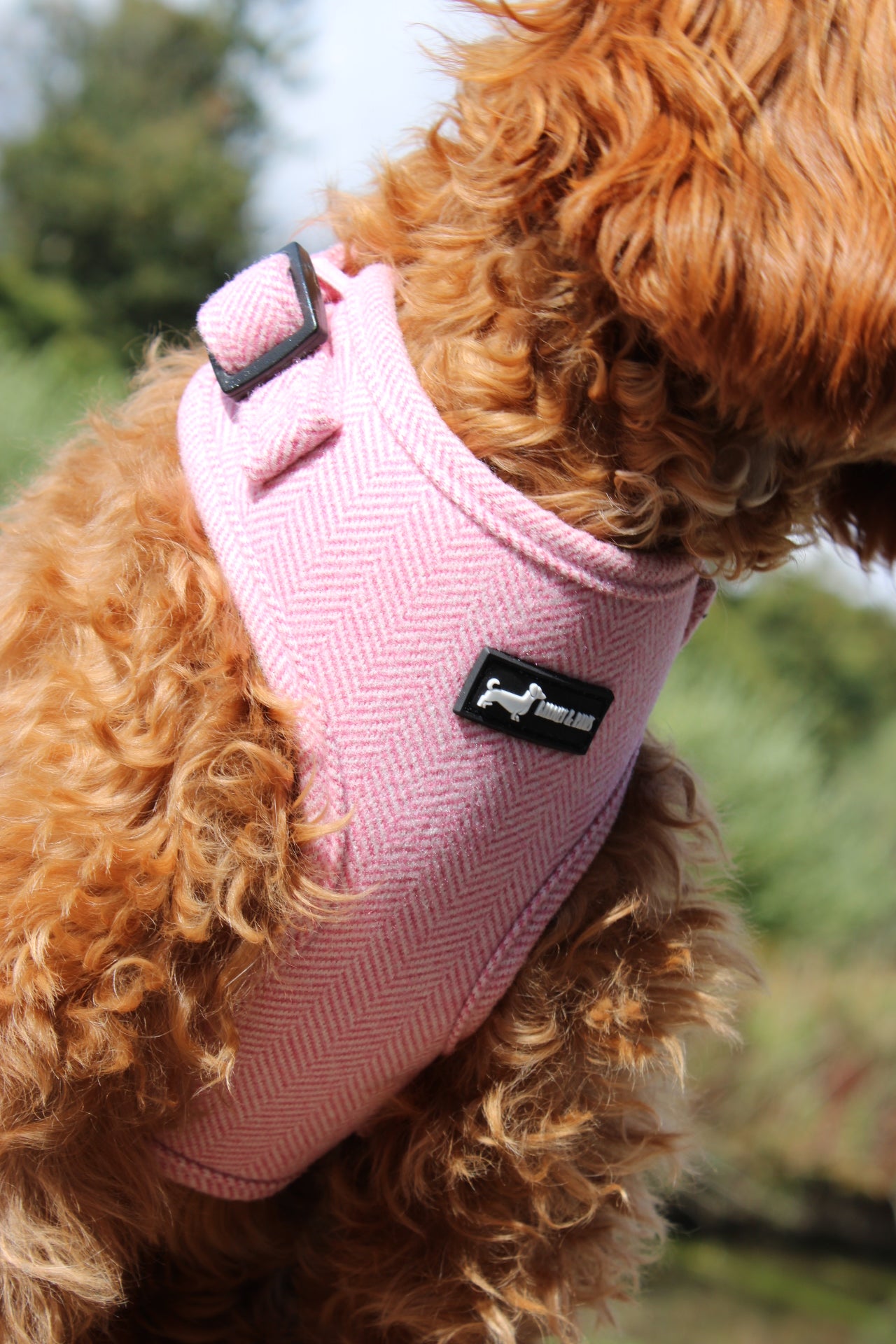 Herringbone Pink Adjustable Neck Harness