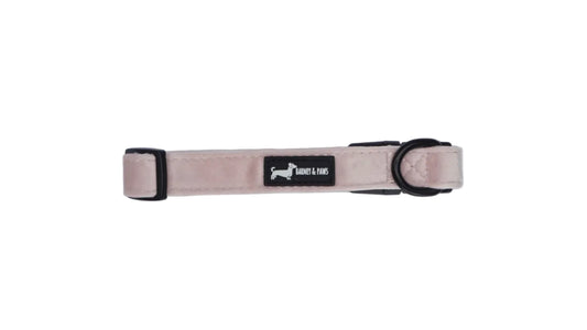Velvet Petal Pink Collar