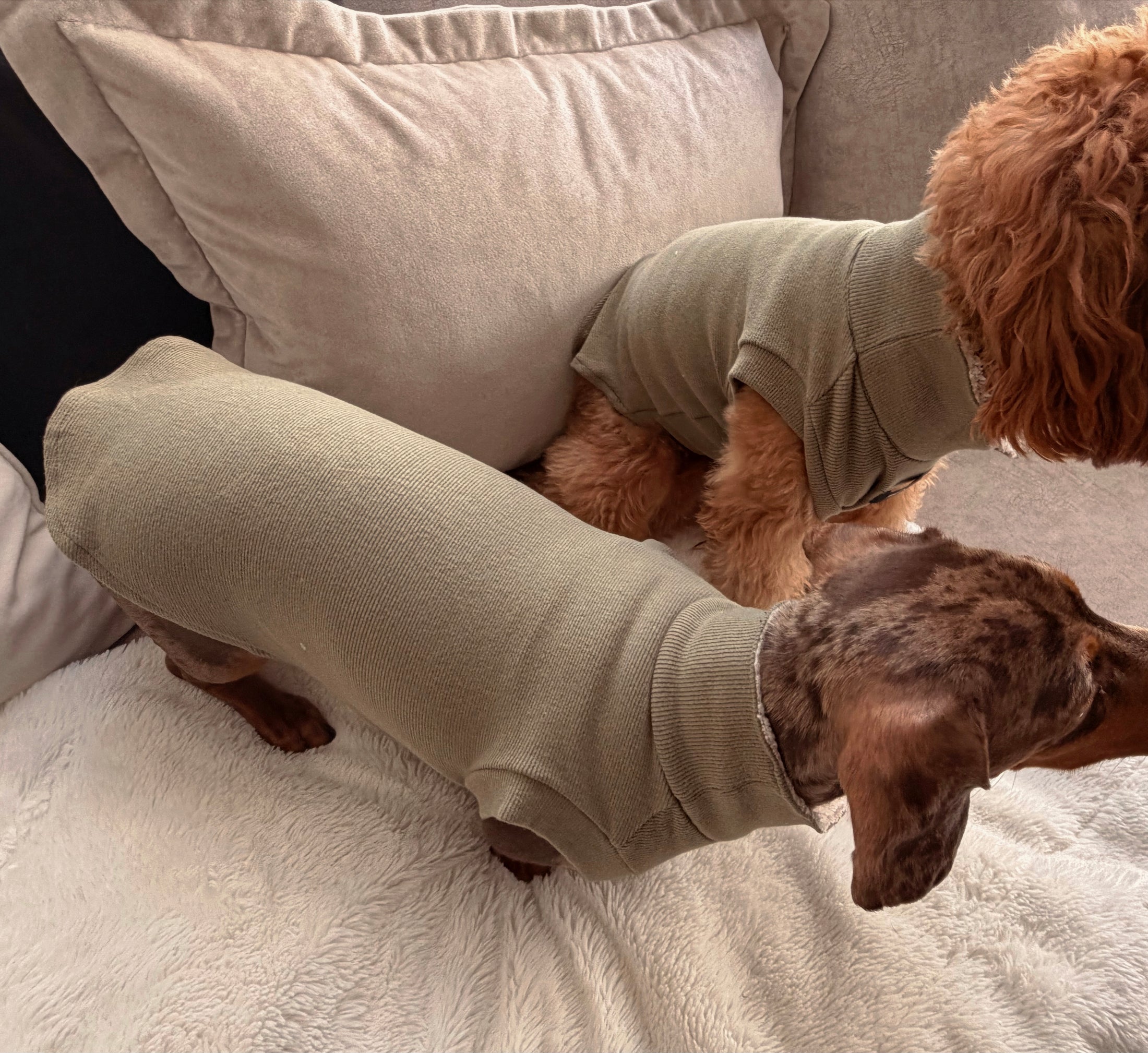 Olive Dog T-Shirt