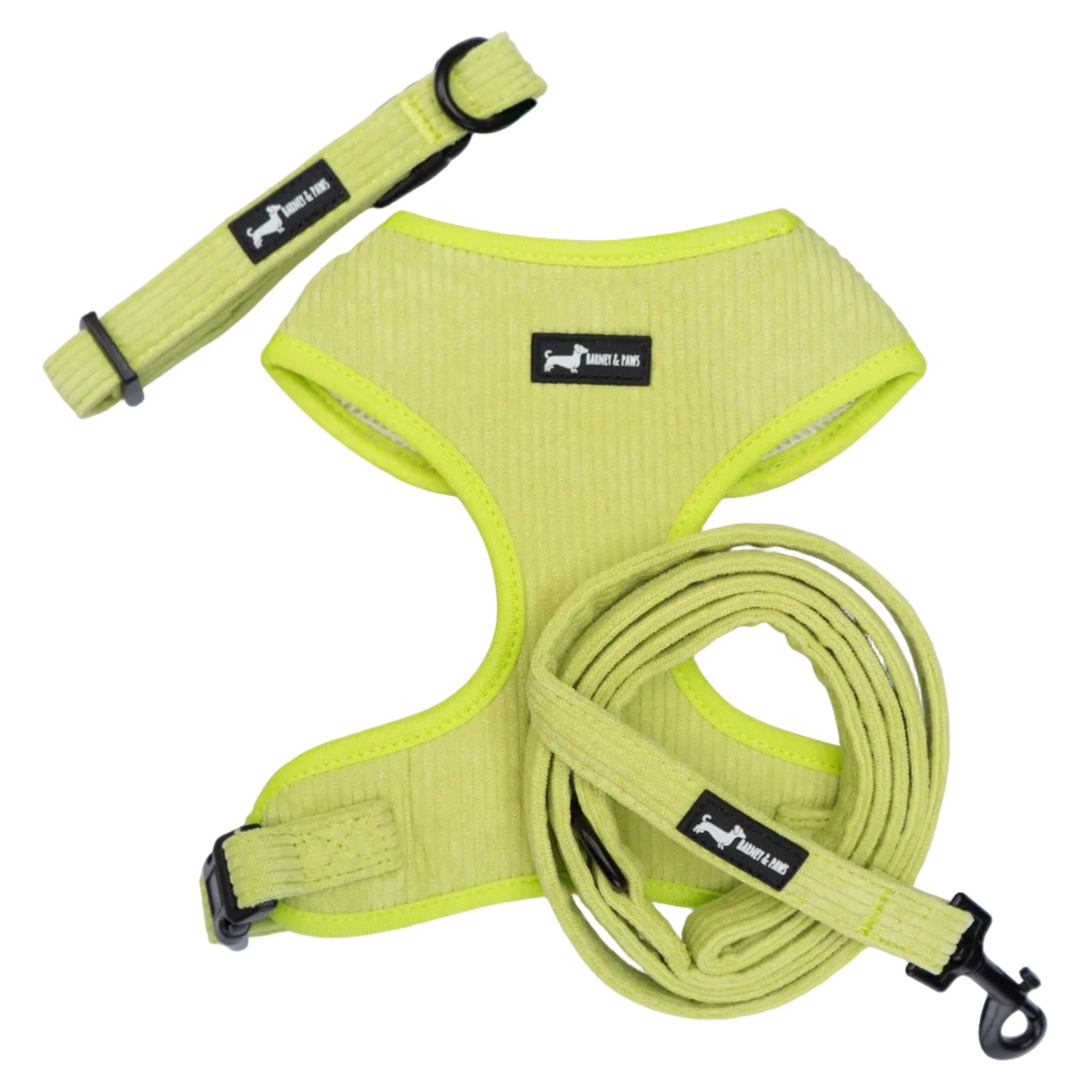 Pawssachio Green 3-Piece Set