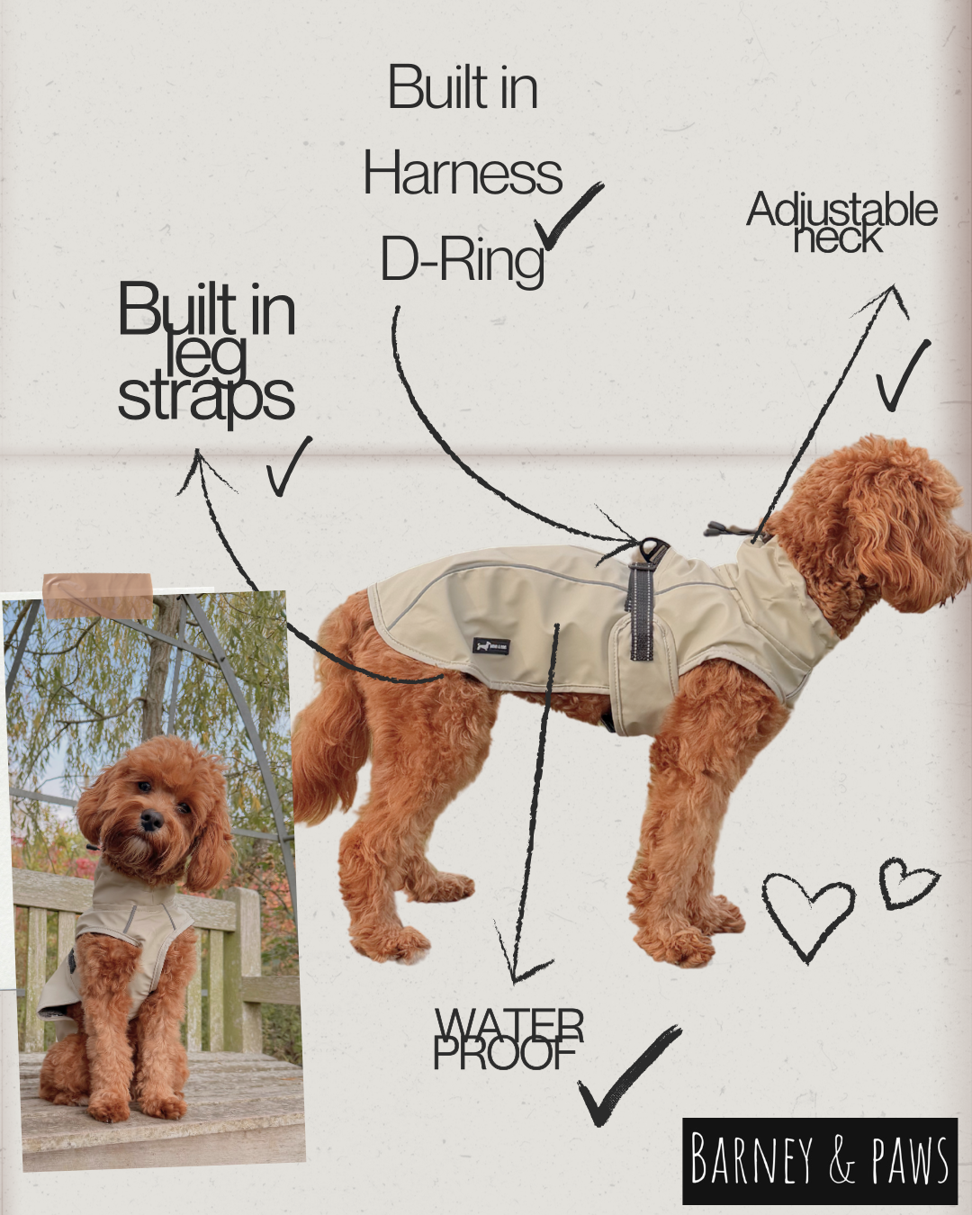 Bark Mac (Biscuit)