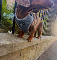 Load image into Gallery viewer, Lilac Blue Stitch Adjustable Neck Harness
