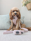 Load image into Gallery viewer, Velvet Petal Pink 5-Piece Set

